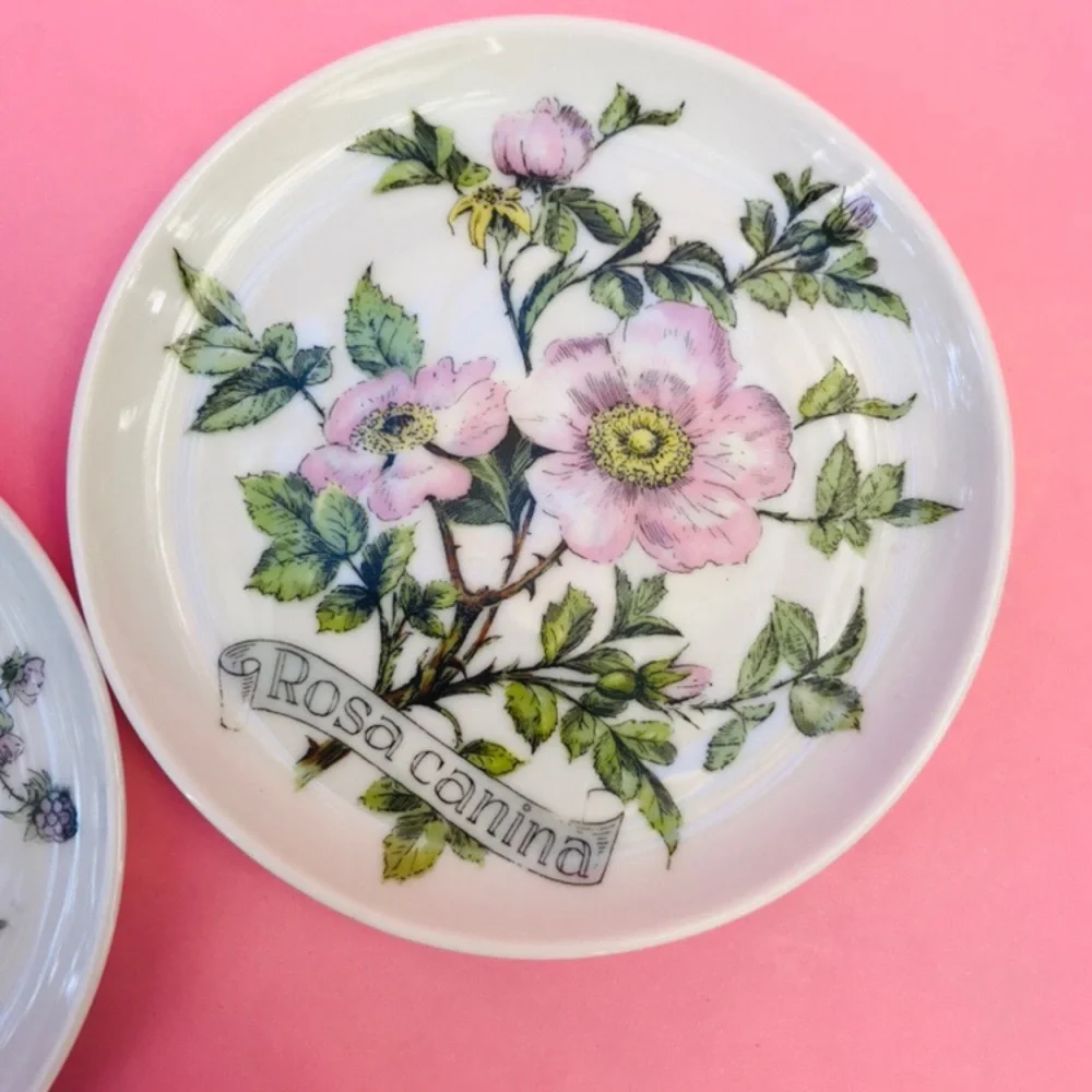 Vintage Kaiser W Germany saucers